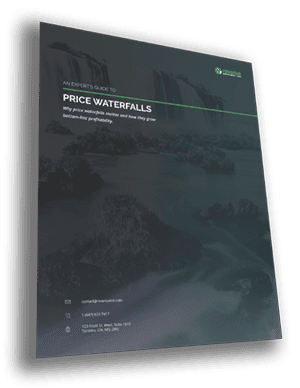 An Expert's Guide to Price Waterfalls Cover 2